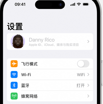 洋县appleID维修服务iPhone设置中Apple ID显示为灰色无法使用 