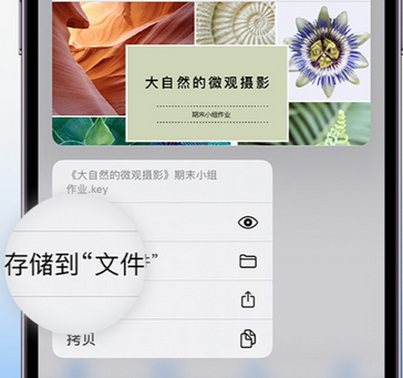 洋县apple维修中心分享iPhone文件应用中存储和找到下载文件