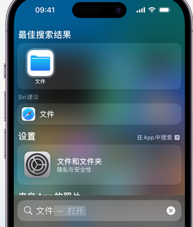 洋县apple维修中心分享iPhone文件应用中存储和找到下载文件 