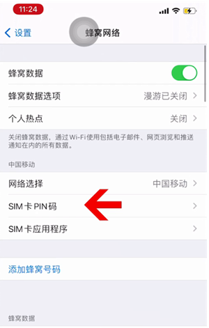 洋县苹果14维修网分享如何给iPhone14的SIM卡设置密码 