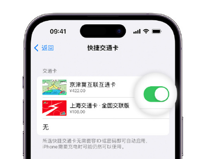 洋县apple维修点分享iPhone上更换Apple Pay快捷交通卡手绘卡面 