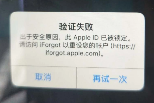 洋县iPhone维修分享iPhone上正常登录或使用AppleID怎么办 