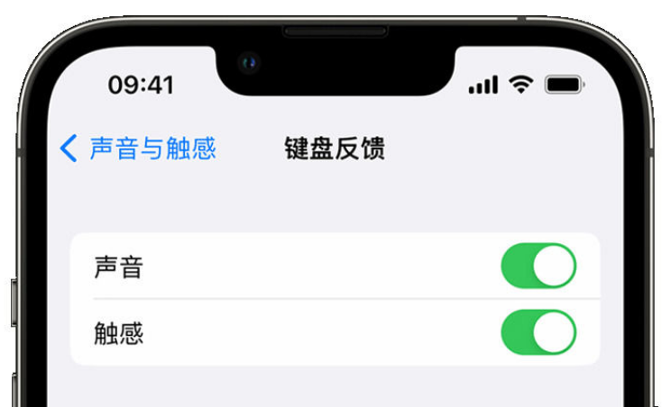 洋县苹果手机维修分享iPhone 14触感键盘使用方法 