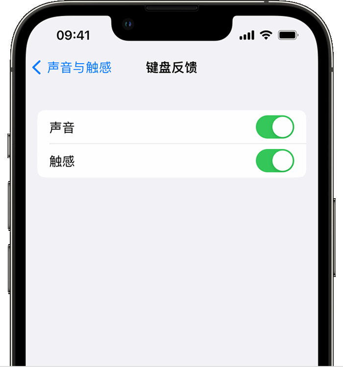 洋县苹果14维修店分享如何在 iPhone 14 机型中使用触感键盘 