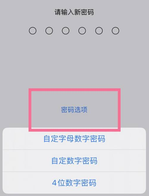 洋县苹果14维修分享iPhone 14plus设置密码的方法 