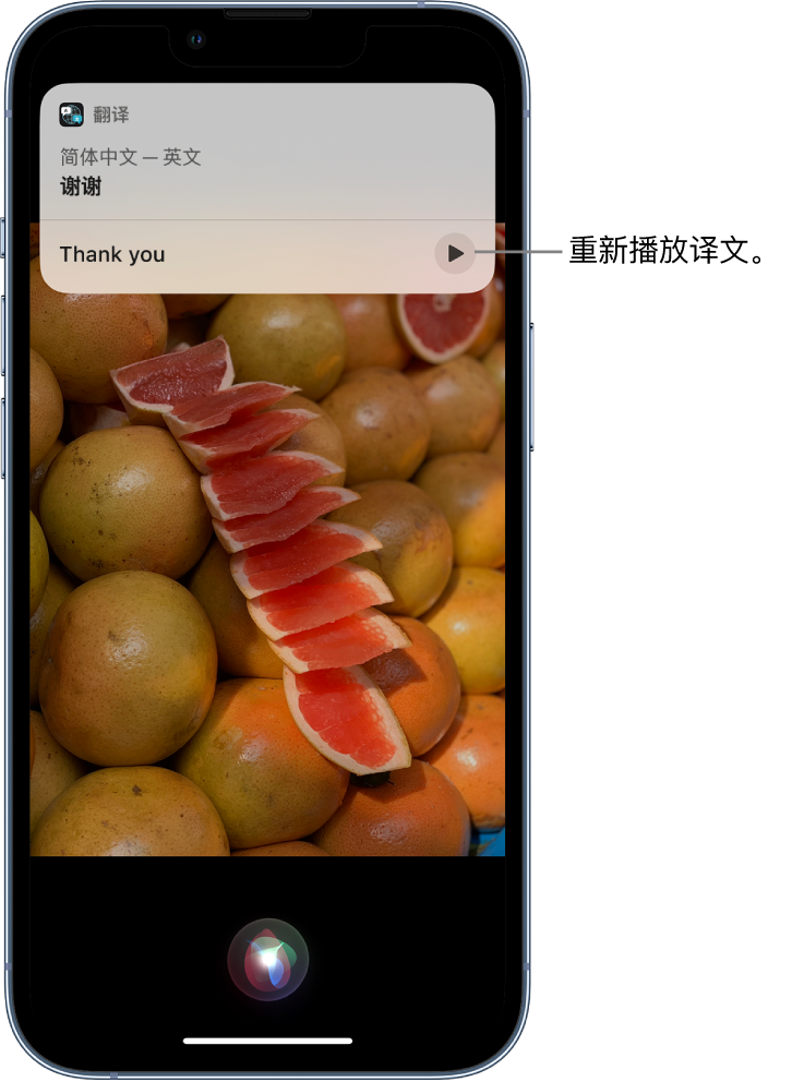 洋县苹果14维修分享 iPhone 14 机型中使用 Siri：了解 Siri 能帮你做什么 