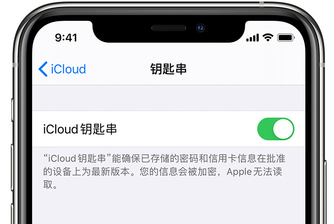 洋县苹果手机维修分享在 iPhone 上开启 iCloud 钥匙串之后会储存哪些信息 