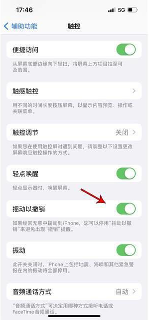 洋县苹果手机维修分享iPhone手机如何设置摇一摇删除文字 